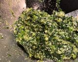ほうれん草とパルメザンチーズのスパゲティ作り方4写真