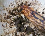 ふきのとう味噌 ふき味噌 すり鉢作り方4写真