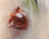 甘エビのかりっとおつまみ作り方2写真