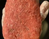 失敗しない本格的ハンバーグ作り方8写真
