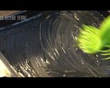 プルコギをはさんだビビンバライスサンド♪作り方2写真