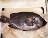 石鯛のお刺身作り方2写真