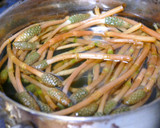 つくしと野草、高野豆腐のかき揚げ作り方1写真
