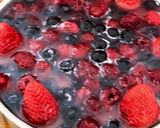 低糖低脂肪ヘルシーヨーグルトベリーケーキ作り方10写真