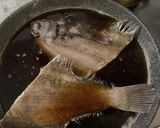 柳カレイの煮つけ作り方2写真