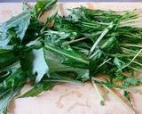 釜揚げ桜海老と水菜のペペロンチーノ風作り方1写真