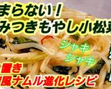 作り置き常備菜 もやし小松菜台湾風ナムル作り方6写真