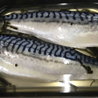 〆鯖 〆サバ（しめ鯖）（冷凍） 【業務用食材の仕入れなら八面六臂】