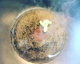【簡単10分】シンプルレタスチャーハン作り方2写真