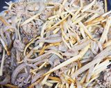 味付け1つ！牛肉とごぼうの炒めもの作り方9写真