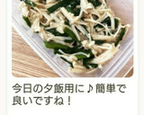 やみつき♪えのきとニラのおひたし作り方16写真