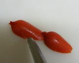 ウインナー飾り切り✿金魚✿（キャラ弁）作り方1写真