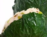 江戸菜のおにぎり（めはり寿司風）作り方5写真
