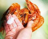 赤エビの豆苗炒め物作り方4写真