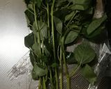 モロヘイヤの下ごしらえのコツ作り方1写真