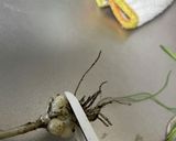 ご飯のお供!野蒜(のびる)味噌作り方2写真