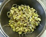 簡単☆豆もやしの作り方作り方7写真