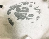 簡単!柔らかダイエットジンギスカン作り方3写真