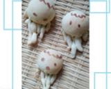 クラゲのパン作り方11写真