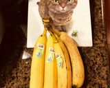 超簡単オートミールクッキー♡子供おやつに作り方1写真