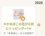 *かまぼこの花びら何にトッピング~?*作り方13写真