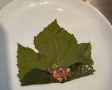 ダワーリー（ヨルダン料理）作り方2写真
