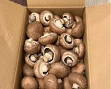 マッシュルームのパテ作り方6写真