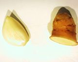 簡単☆カリッとジューシー鶏モモ肉の唐揚げ作り方2写真