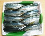 小料理屋さん風 アジの南蛮漬け 追記あり作り方1写真