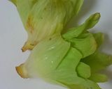 ふきのとうと鮪のぬた作り方1写真