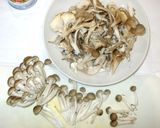 ツナ缶キノコ炊き込みご飯♪簡単3合作り方2写真