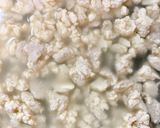 ダイエット×カロリーoff 鶏そぼろ丼作り方1写真