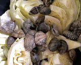 大人のつまみ春キャベツとあさりの酒蒸し作り方3写真