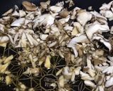免疫力♡簡単♡舞茸入りコク旨肉味噌うどん作り方2写真