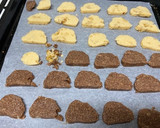 2種のおからクッキー☆動物性不使用作り方5写真