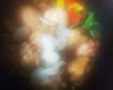 さっぱり煮♪( ´∀`)人(´∀` )♪作り方4写真