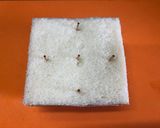 カマンベールチーズの重ね重ねミニサンド作り方7写真