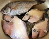 カワハギの煮付け作り方1写真