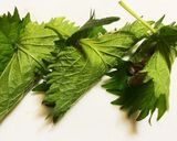 ツナマヨの大葉包み作り方4写真