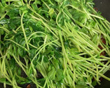 簡単2分　豆苗のにんにく炒め作り方2写真