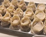 おうちでお店の味！ダシと海苔香る塩餃子作り方4写真