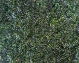 ～春は生青のりの佃煮を～作り方1写真