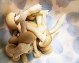 全てレンジ胸肉根菜味噌甘酢照り焼き風蒸煮作り方8写真