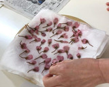 桜のお稲荷さん作り方5写真