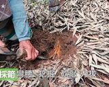 筍の保存★okane作り方1写真