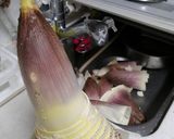 竹の子の下処理作り方1写真