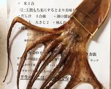 日間賀島のタコ飯作り方1写真