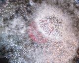 簡単ふわとろ卵のオムライス作り方8写真