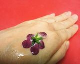 ヴィオラやエディブルフラワーの砂糖漬け♪作り方3写真