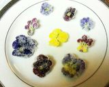 ヴィオラやエディブルフラワーの砂糖漬け♪作り方6写真